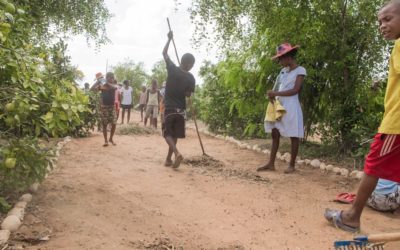 Vers une restauration de la mangrove pour préserver les écosystèmes et les espèces qui en dépendent.