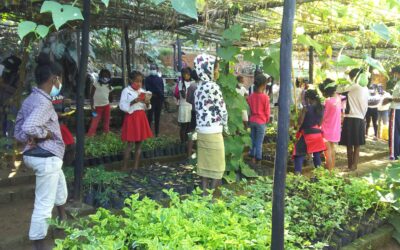 Autorisation spéciale pour la classe verte à Fianarantsoa