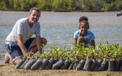 ACTION ECO- LOGIQUE : 4000 palétuviers pour l’environnement.