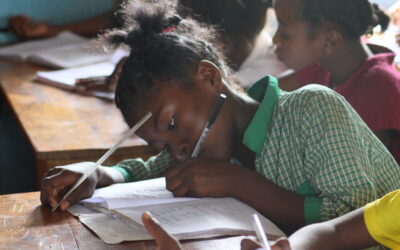 Belle réussite aux examens pour cette année