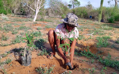 S’investir dans des solutions durables face au changement climatique.