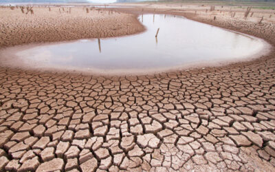 Journée de lutte contre la désertification et la sécheresse