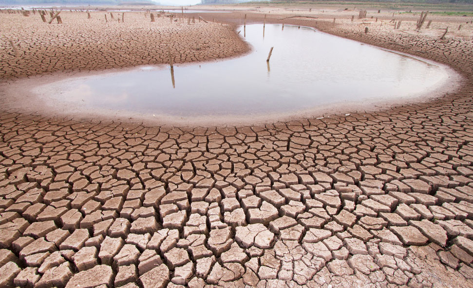 Journée de lutte contre la désertification et la sécheresse